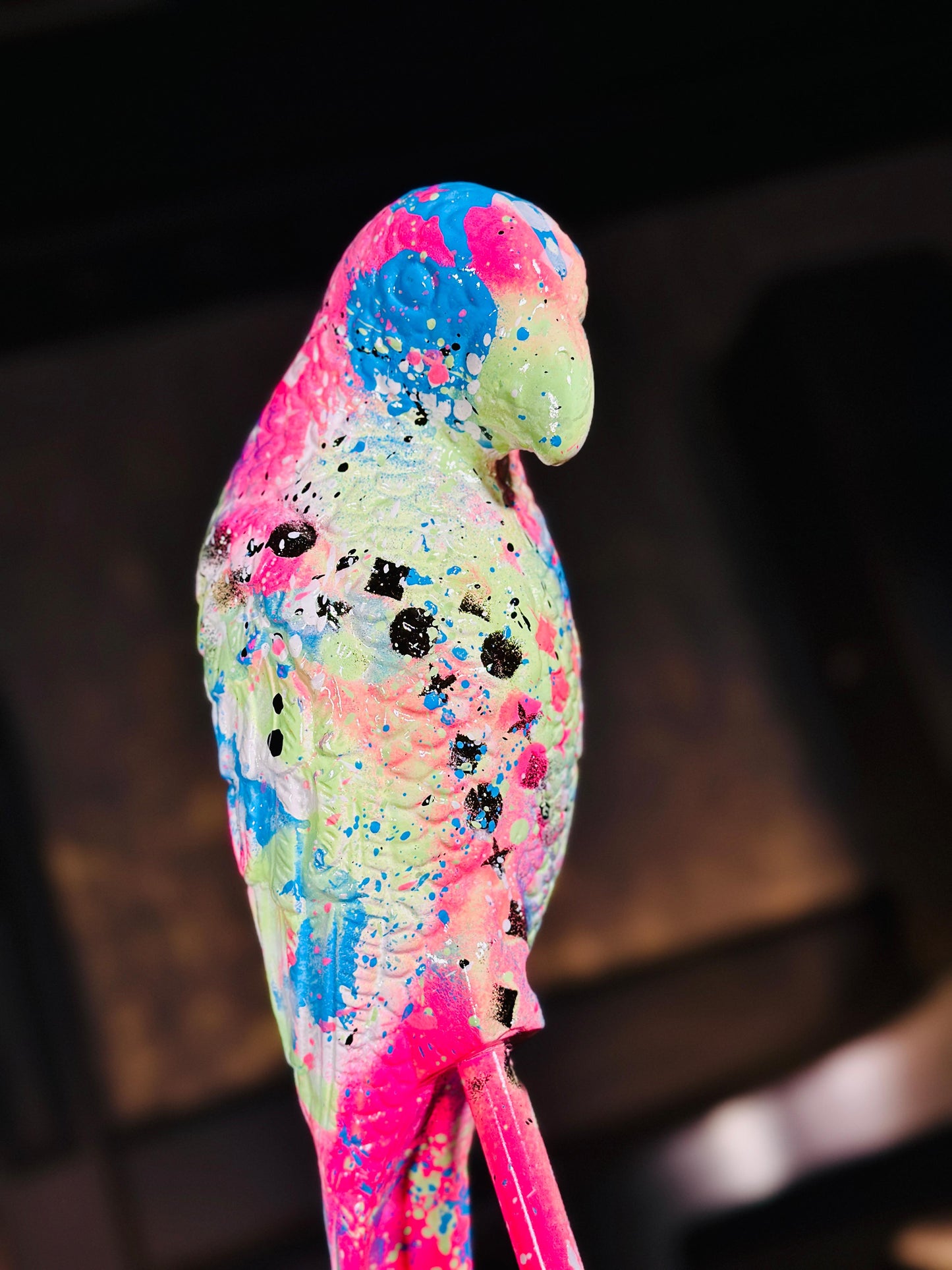 Miami Bird